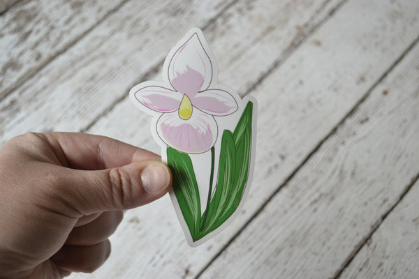 Ready to ship - 'Lady Slipper' Vinyl Sticker - 2.5" x 4.1"